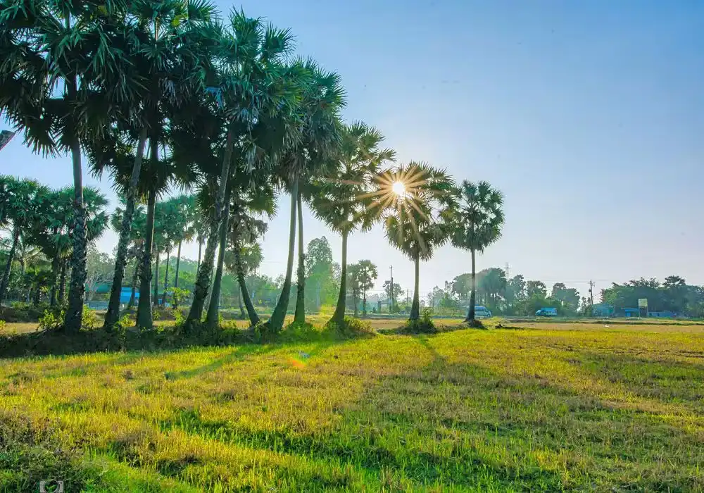 Tour miền Tây 3 tỉnh Tiền Giang Bến Tre Cần Thơ