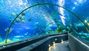 Viện Hải Dương Học